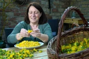 Tanja Schmitt bereitet aus den aromatischen gelben Blütenblättern des Löwenzahns einen Aufstrich zu.