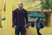 Pictured: LL COOL J as Special Agent Sam Hanna.