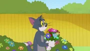 Tom