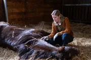 Lena Testorp (Anna von Haebler) untersucht das tote Pferd, das neben der Leiche von Torsten Nissen im Pferdestall liegt. Wer ist der unbekannte Pferdestecher, der schon viele Tiere auf dem Gewissen hat?