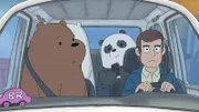 v.li.: Grizzly Bear, Panda Bear, Alexander