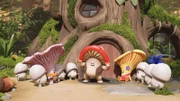 In der Mitte: Mush-Mush