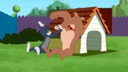 v.li.: Tom, Spike