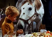 Er füttert das Pferd: Pär Sundberg als Tommy