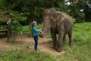 Katherine Connor im Elefantenkrankenhaus.
