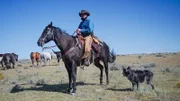 Clayton mit seinem Pferd und seinem Hund.