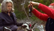 Wissenschaftlerin Katrin Ludynia wiegt einen Pinguin.