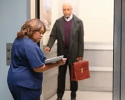Dr. Miranda Bailey (Chandra Wilson), Dr. Richard Webber (James Pickens Jr.).