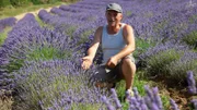 Kräuterwelten der Provence  Bauer Gérard Blanc im Lavendelfeld