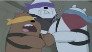 v.li.: Baby Grizz, Baby Panda, Baby Ice Bear