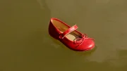 Fall "Das Mädchen im Stausee": Ein Kinderschuh treibt im Wasser. Kurz darauf finden Angler in einem Stausee im Westerwald die Leiche eines 6-jährigen Mädchens. Wurde sie ermordet?
