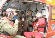 Mit dem Hubschrauber gelangen die "Retter auf vier Beinen" zur Unglücksstelle: Wasserrettungshunde bewachen 8000 Kilometer Küste.
