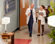 Dr. Cormac Hayes (Richard Flood), Dr. Meredith Grey (Ellen Pompeo).