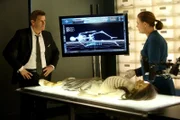 Booth (David Boreanaz) und Brennan (Emily Deschanel) untersuchen den Mord an einer Frau, deren Leiche vor dem Fund präpariert worden ist.