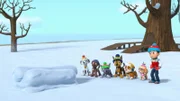 L-R: Marshall, Zuma, Rocky, Chase, Rubble, Skye, Ryder