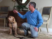 Collie-Mischling Tobi musste einen Monat in einer psychiatrischen Hundeklink verbringen, da er ständig seine Besitzer angriff. Auf Gäste ist der Hund jedoch nach wie vor nicht gut zu sprechen. Hundetrainer Cesar Millan will das ändern.