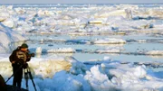 Vier Monate verbrachte der Tierfilmer Uwe Anders auf der Wrangelinsel in Russlands Arktis. Weitere Fotos erhalten Sie auf Anfrage.