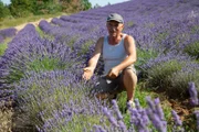 Kräuterwelten der Provence
Bauer Gérard Blanc im Lavendelfeld
SRF/Christoph Schimmelpfennig