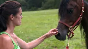 In Bernkastel-Kues an der Mosel untersucht Tierärztin Dr. Yasmin Diepenbruck das scheue Pferd Shagyll.