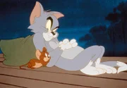 Obdachlos: Eine Katastrophe fuer Tom und Jerry.