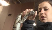 Biologin Susa Ladwig hat eigentlich Angst vor Schlangen.