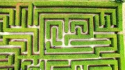 Test im Labyrinth: Männer oder Frauen – wer findet schneller den Weg?
