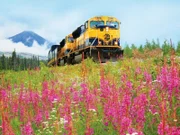 Alaska Railroad    +++