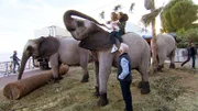 Für Davina und Shania steht Elefantenreiten auf dem Plan.