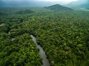 rainforest, Latin America