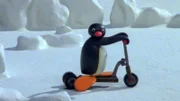 Guetnachtgschichtli Pingu Staffel 6 Folge 22 Pingu – Ein neuer Roller Pingu auf seinem Roller.  Copyright: SRF/Joker Inc., d.b.a., The Pygos Group