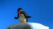 Guetnachtgschichtli  Pingu  Staffel 6  Folge 23  Pingu – Grosser Sprung  Pingu auf dem hohen Felsen.    Copyright: SRF/Joker Inc., d.b.a., The Pygos Group