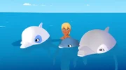 Yann und Zoom haben einen Baby-Delfin und seine Mutter entdeckt. Zoom ist begeistert über seine neuen Freunde, Yann dagegen ein wenig eifersüchtig.