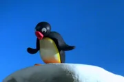 Guetnachtgschichtli Pingu Staffel 6 Folge 23 Pingu – Grosser Sprung Pingu auf dem hohen Felsen.  Copyright: SRF/Joker Inc., d.b.a., The Pygos Group