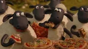 Pizza! Pizza! Ein Festessen auch für Schafe.