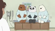 v.li.: Grizzly Bear, Panda Bear, Ice Bear