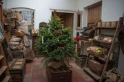 Geschmückter Weihnachtsbaum in der Mitte des Raumes
