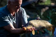 Landscape shot, CU Jeremy Wade looks at a carp he’s holding in his hands.
