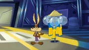 Wile E. Coyote