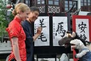 Auf der Suche nach einem Chinesen, der ihnen bei der Übersetzung der Gebrauchsanweisung helfen kann, landen Pferd und Wolle in einem echten Teehaus.