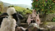 Der Apfelbaum steht bei den Schweinen. Werden sie die reifen, leckeren Früchte teilen?
