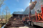 Das Heizkraftwerk im österreichischen Dornbirn verfeuert Holz aus regionalem Anbau.