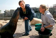 Seebären-Gehege mit der Direktorin des Zoos, Dr. Heike Kück und der Tierpflegerin Constanze Czech (r.).