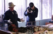 Im Navy-Krankenhaus stirbt ein Commander auf spektakuläre Weise, er explodiert von innen heraus. Ducky (David McCallum, l.) und Jimmy (Brian Dietzen, r.) untersuchen den Tatort ...