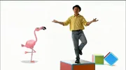 Im Flamingo-Lied erklärt Robert, warum diese Vögel auch manchmal auf zwei Beinen stehen.