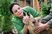 Tierärztin Dr. Mertens (Elisabeth Lanz) untersucht einen Nasenbären. Das letzte Tier seiner Art im Leipziger Zoo hat Fieber und frisst nicht. Was fehlt dem kleinen Bären?