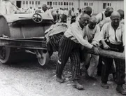 ITAR-TASS: BAYERN, DEUTSCHLAND. SEPTEMBER 24, 2013. Das Bild zeigt ein Foto vom 20. Juli 1938, das Dachauer Häftlinge beim Ziehen einer Straßenwalze zeigt. Das Foto ist in der KZ-Gedenkstatte Dachau zu sehen. Dachau_1938