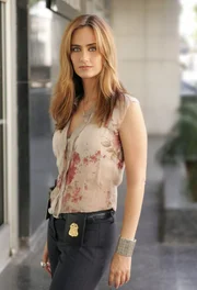 (2. Staffel) - Neu im FBI-Team von Don: Verhaltensanalyse-Spezialistin Megan Reeves (Diane Farr) ...