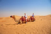 Der Ritt auf dem Kamel: ein Muss für Besucher des Wüstenhotels "Qasr Al Sarab" in Abu Dhabi. Auch Giles Coren (r.) und Monica Galetti (l.) beweisen Schwindelfreiheit.