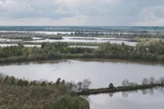 Überschwemmte Gebiete zwischen Waal, Lek und Merwede.