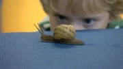 Kinderreportage: Kinder kommen dem Geheimnis der Tiere auf die Spur. Wie kommt die Schnecke eigentlich voran?